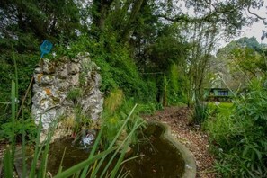 Stroll through a serene garden surrounded by lush greenery and a small pond.