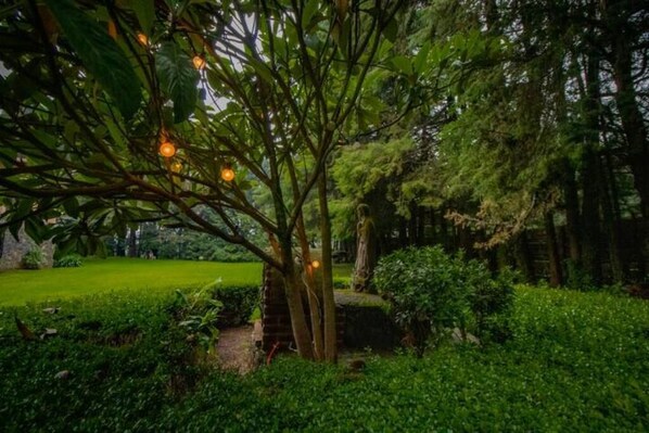 Área da propriedade