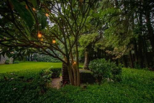 New! Bamboo Tesoro Del Bosque