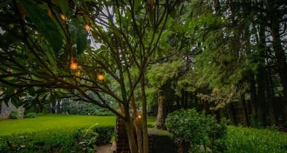 New! Bamboo Tesoro Del Bosque