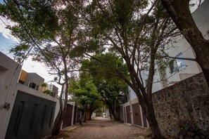 Property grounds - New! Bamboo La Guayabita (Jiutepec)