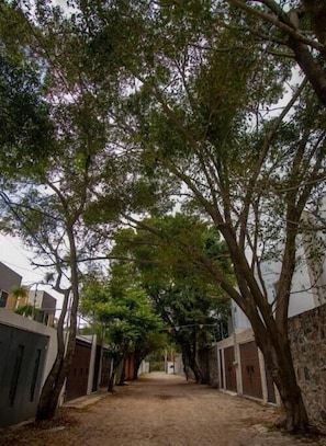 Área da propriedade