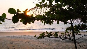 Une plage avec une branche d’arbre au premier plan et l’océan en arrière-plan.