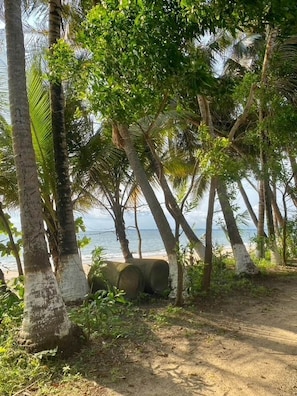 A beach with palm trees and a concrete barrier.