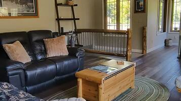 TV connectée, cheminée, livres
