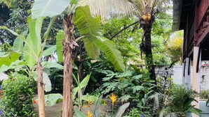 Un rigoglioso giardino con palme da cocco, diverse piante fiorite e una piccola area piscina.