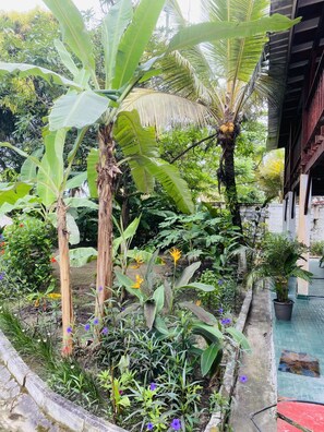 Exterior - Résidence Tropicale (Libreville)