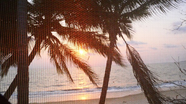 Una spiaggia con palme e il sole che tramonta sull'oceano.