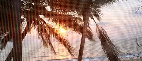 Premier Apartment, 1 Double Bed with Sofa bed, Beach View, Beachside | Balcony