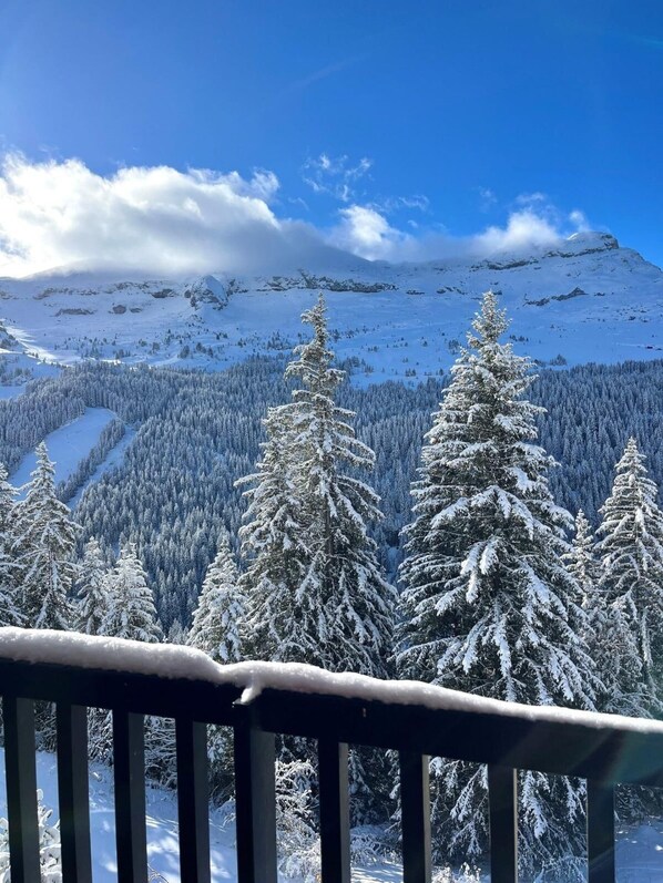 Property grounds - 150m from ski lifts, 4th floor, balcony, tv, ski locker, 25m², Flaine (Flaine)