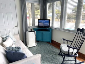 Smart TV, DVD player, books, video library