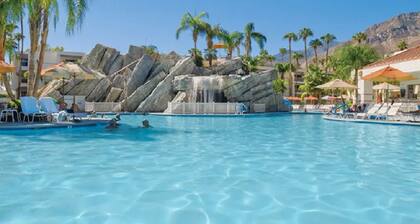 POOL PARADISE at Palm Canyon! 2BR/1BA w/Kitchen & Pool Bar!