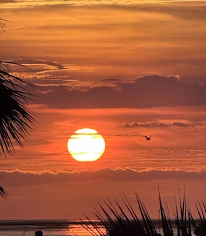 Miscellaneous - Gulf front RV Site, full hook up .take a breath and enjoy the sunsets (Perry)