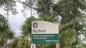 A sign for Big Bend Wildlife Management Area Tide Swamp Unit, Hagens Cove. - Gulf front RV Site, full hook up .take a breath and enjoy the sunsets (Perry)