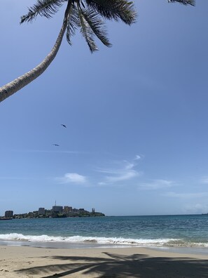 A beach with palm trees, a clear sky, and a distant cityscape.