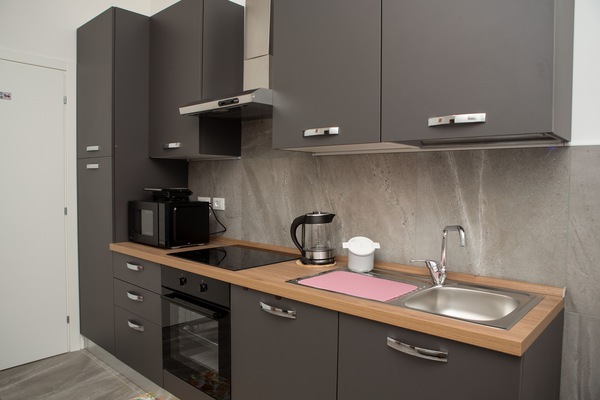 Executive appartement, 1 slaapkamer, niet-roken, keuken | Privékeuken | Een koelkast/vriezer, een magnetron, een oven, een kookplaat