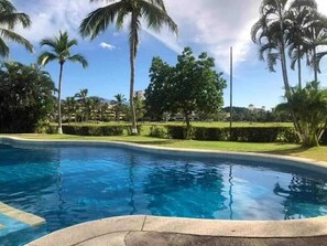 Pool - Looking for a Place in Marina (Puerto Vallarta)