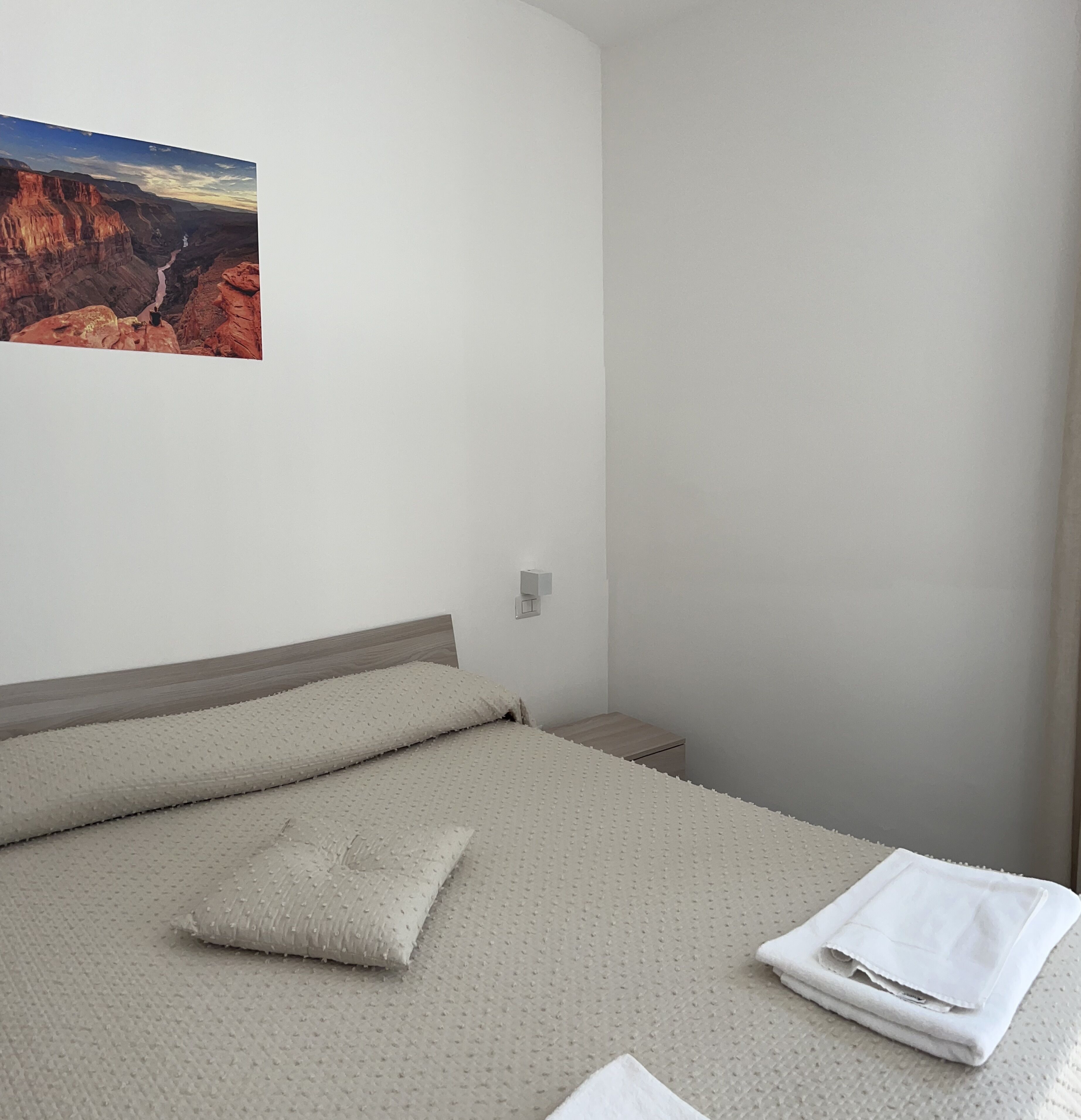 A bedroom with a bed, a nightstand, a wall-mounted light, and a painting of a canyon.