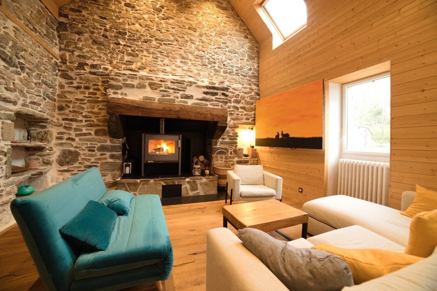 TV, fireplace, video games, DVD player