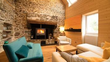 TV, fireplace, video games, DVD player