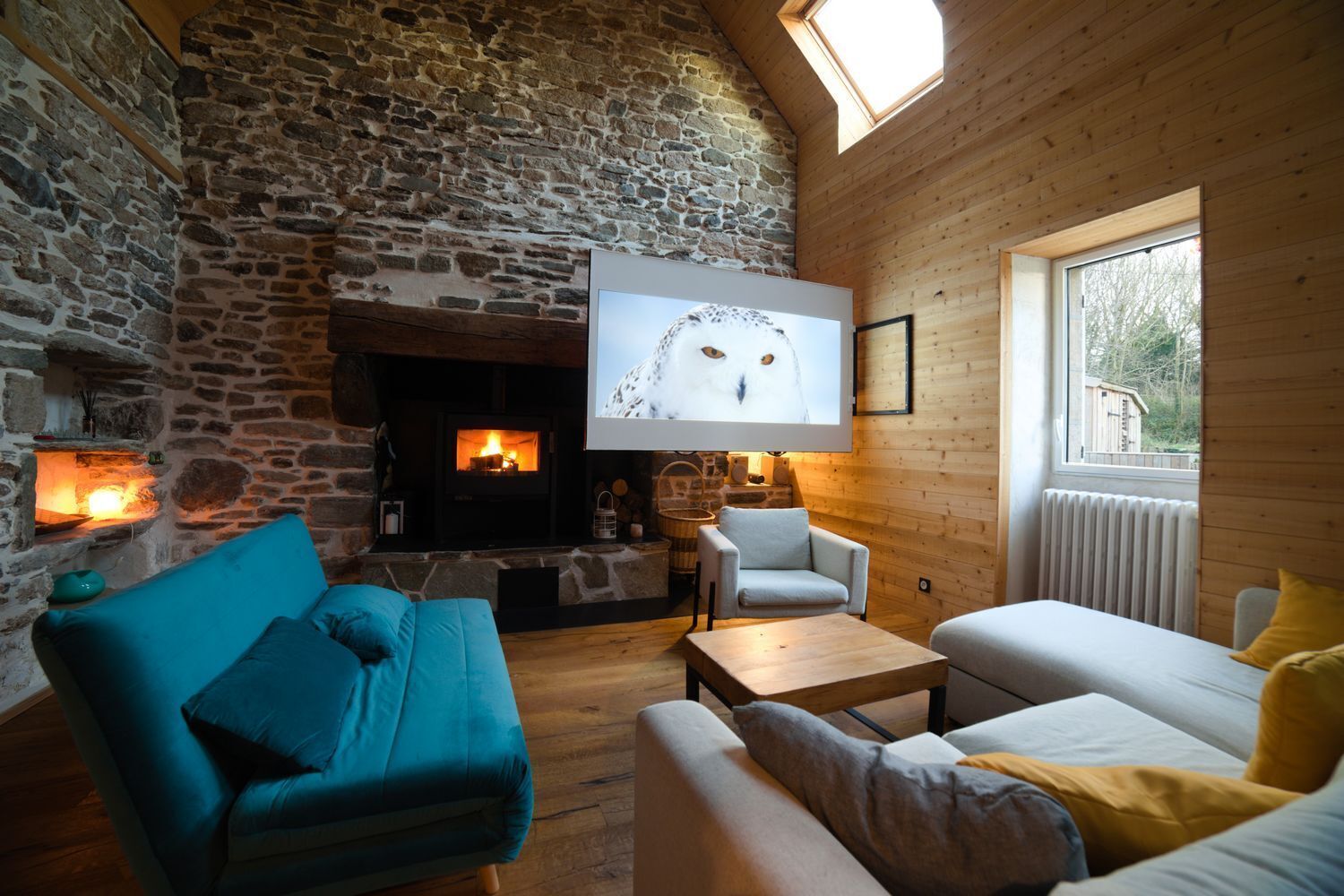 TV, fireplace, video games, DVD player