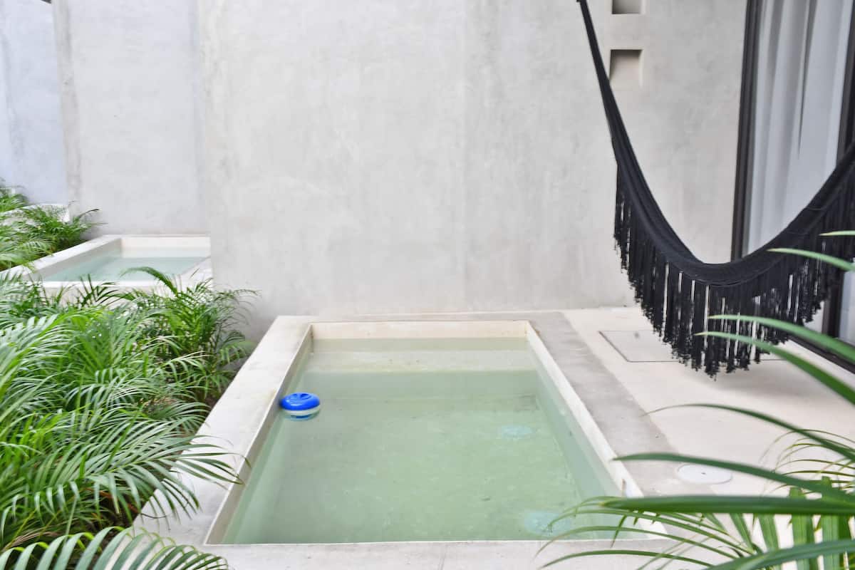 A rectangular pool with clear water, surrounded by lush green plants.