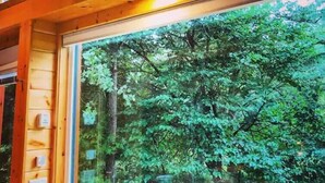 Une cabane en bois dotée d’une grande fenêtre donnant sur une forêt dense.