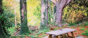 Luxury Tiny Home. Brew Ridge. Trail. Ski. Wineries