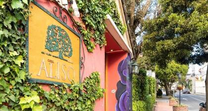 CASA ALISO HOTEL BOUTIQUE