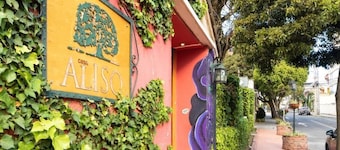 CASA ALISO HOTEL BOUTIQUE