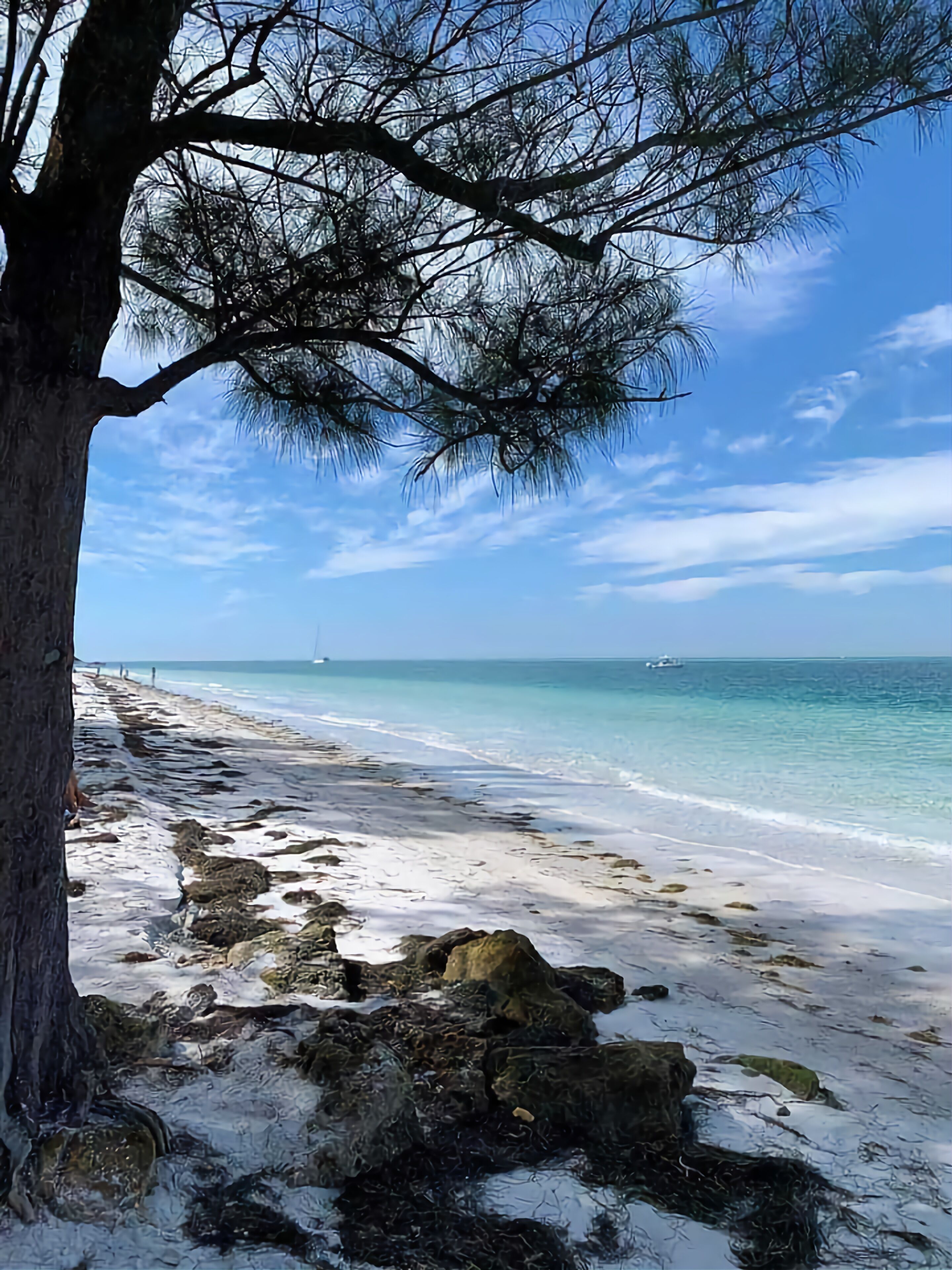 Chaises longues, serviettes de plage