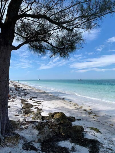 Tranquil Luxury Condo near Anna Maria Island Beach, 2 heated pools, hot tubs,IMG