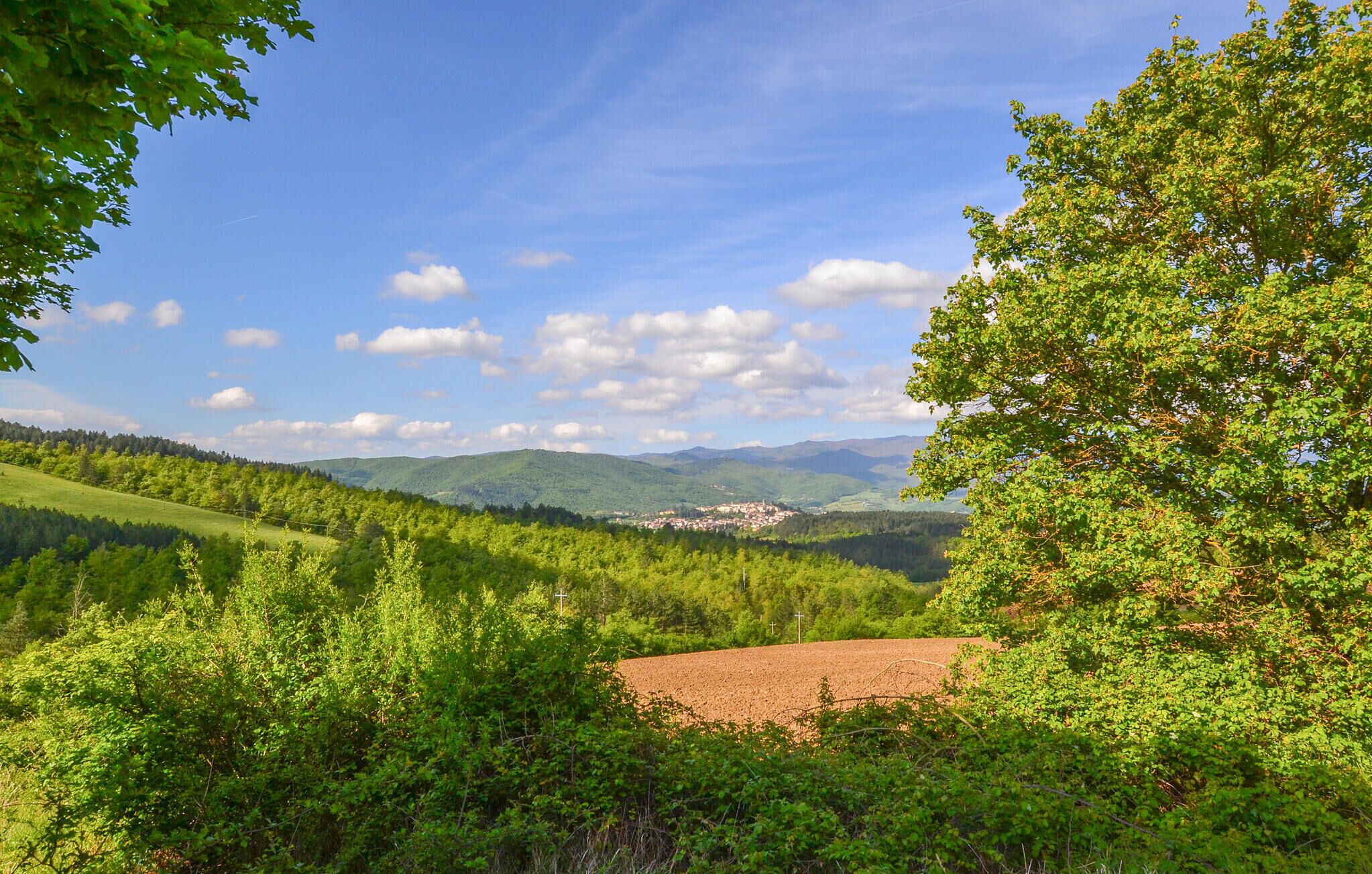 A rural landscape with rolling hills, dense forests, and a small village in the distance.