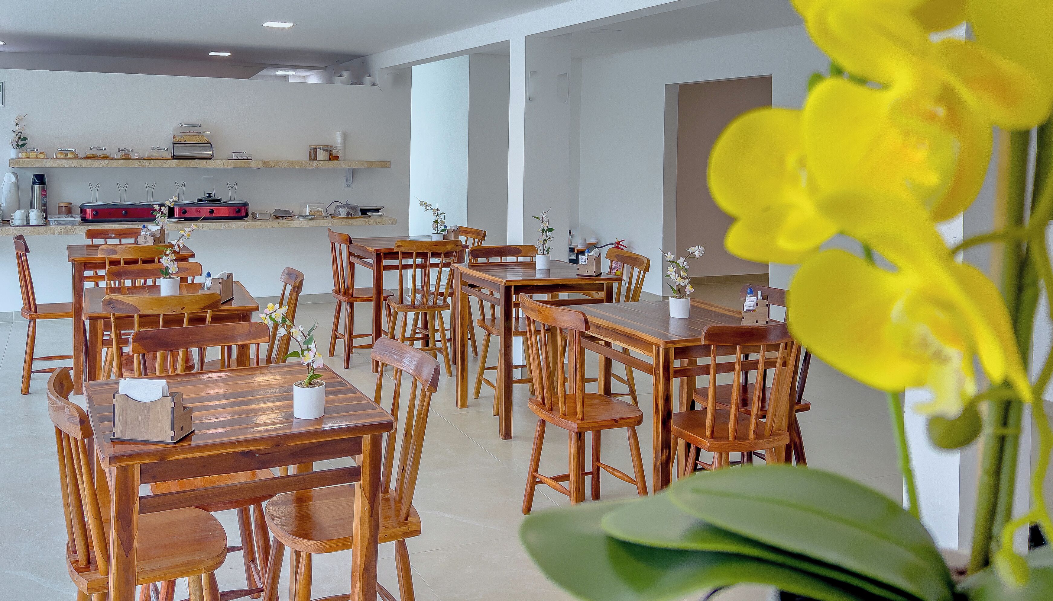 Foto - Pousada Amoré em Porto de Galinhas, PE