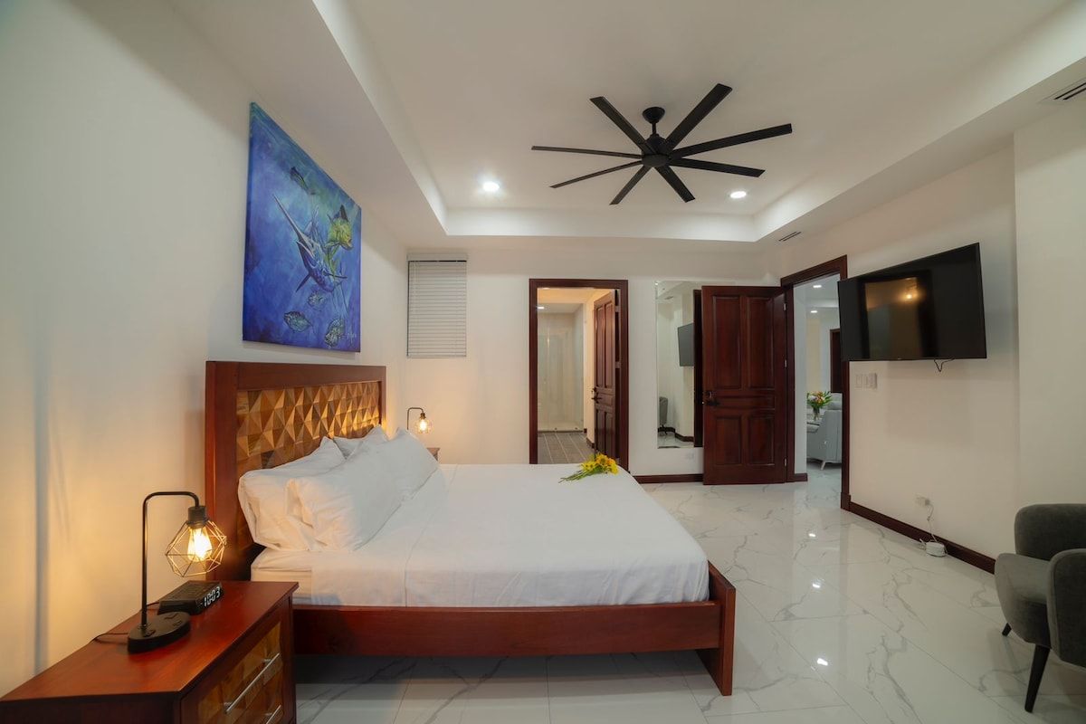 A modern bedroom with a bed, bedside lamp, artwork, ceiling fan, and a TV.