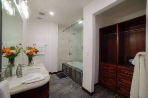 Shower, hair dryer, shampoo