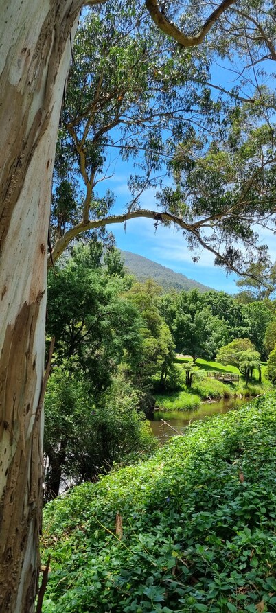 Idyllwylde. Pet-friendly. Cosy. Close to town & river.