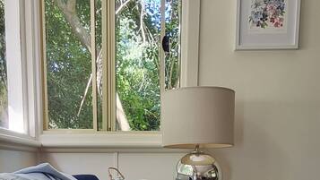 TV connectée, cheminée, livres, écrans d'ordinateur