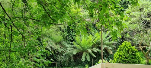 Idyllwylde: pet-friendly, renovated vintage  cabin, close to town and river