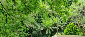 Idyllwylde: pet-friendly, renovated vintage cabin, close to town and river