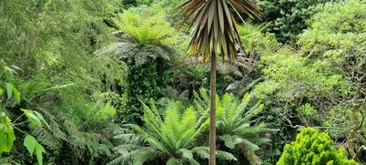 Idyllwylde: pet-friendly, renovated vintage  cabin, close to town and river