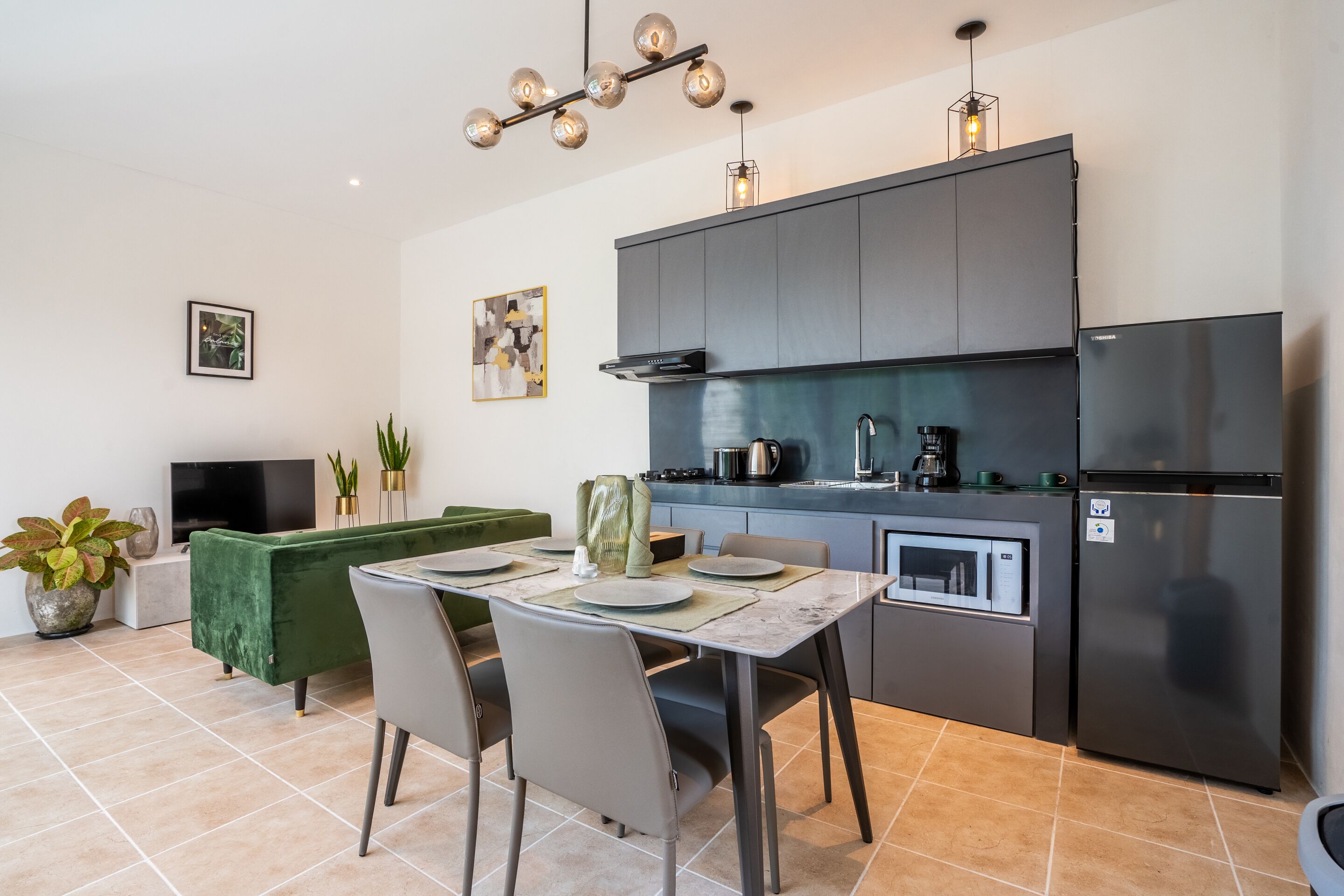 29-英寸纯平电视（配备卫星频道）、Netflix、流媒体服务