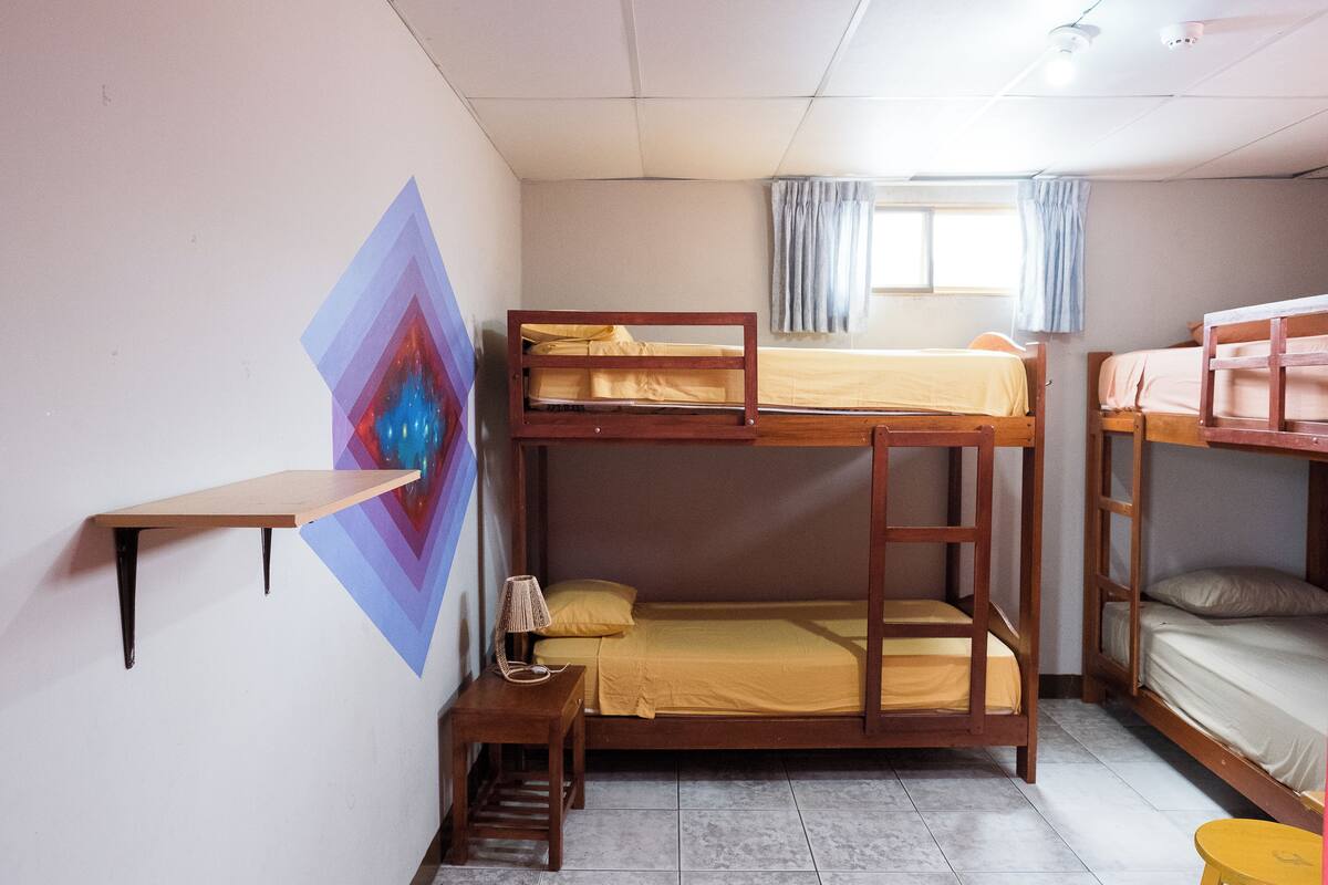 A dormitory room with bunk beds, a small desk, a lamp, and a window with curtains.