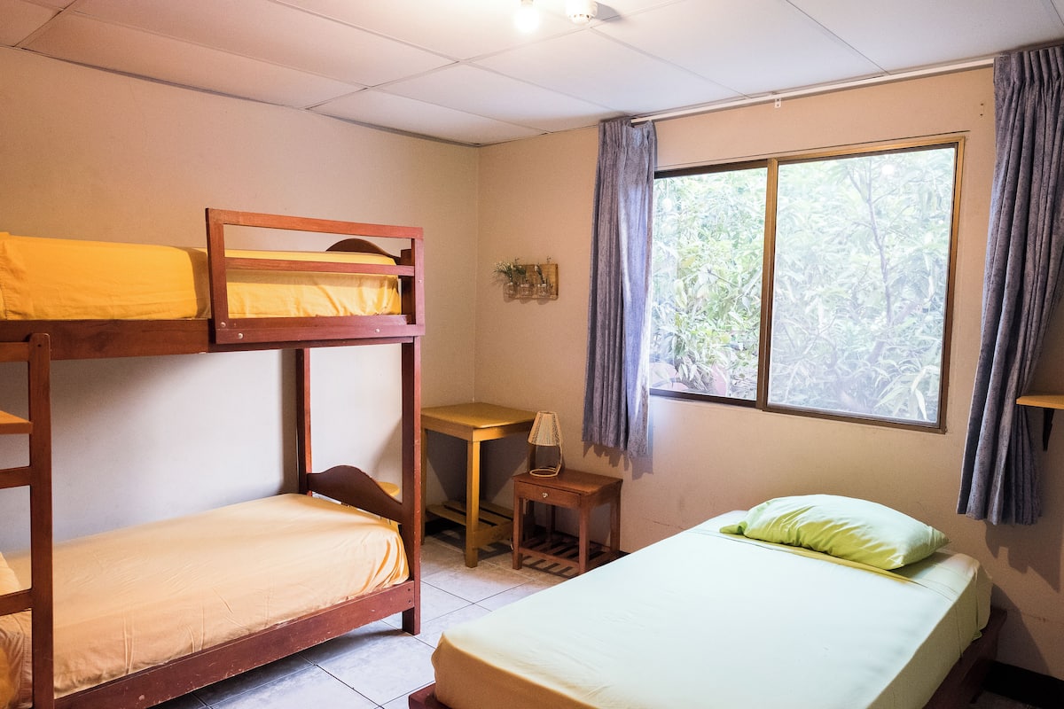 A dormitory room with bunk beds, a desk, and a window with curtains.