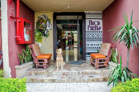 Fachada de la propiedad