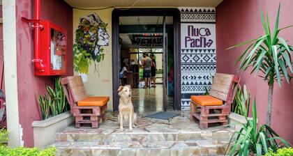 Hostel Nucapacha