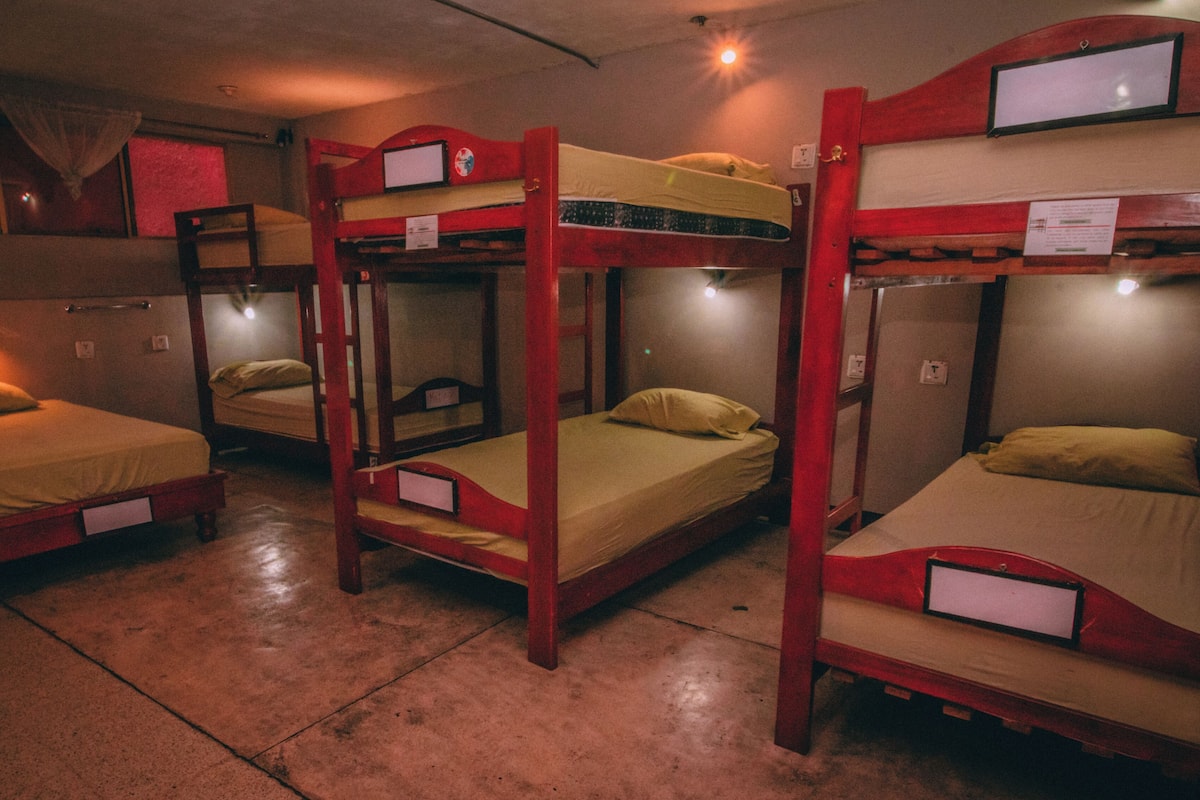 Bunk beds in a dormitory room with a window and a light fixture.
