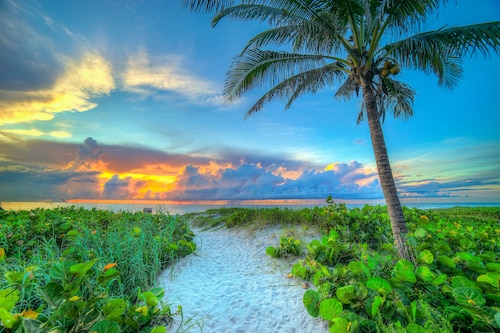 Luxury Oceanfront Beach House - all bedrooms have spectacular views - Sleeps 6+