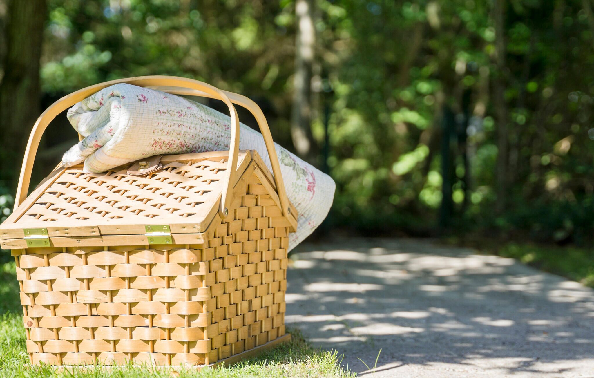 A wicker picnic basket with a floral pattern and a handle, placed on a grassy path in a wooded area.