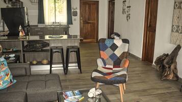 Smart TV, DVD player, books, video library